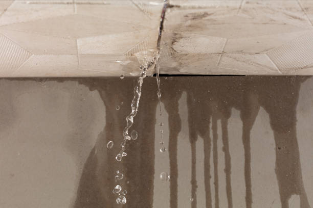 Professional Water Damage Inspection technician working in Bondsville, MA